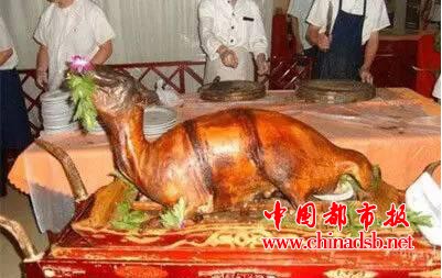 中国十大禁菜之一， 炭烤乳羊你见过吗？